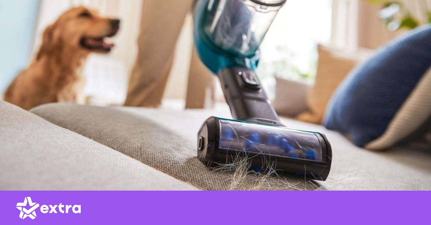 მტვერსასრუტი მტვერსასრუტი და შინაური ცხოველი