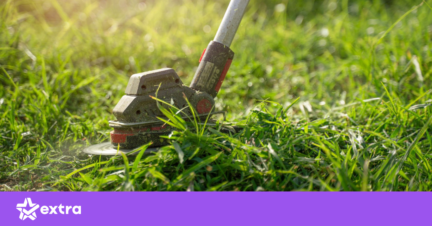 ბალახის საკრეჭის გამოყენება და მოვლა